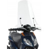 SCHERMO APRILIA SPORTCITY 125 200'04 136A | GIVI