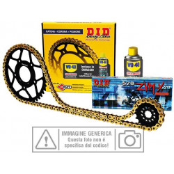 101415 KIT TRASMISSIONE S-AL 13-48-118 DID520DZ2 (G&B) C...