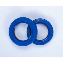 285.0001 SERIE PARAOLI PTFE/FKM ALBERO MOTORE...