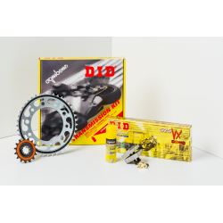 KIT PROFESSIONALE HONDA 600 CBR F | OGNIBENE | MPN 372749000