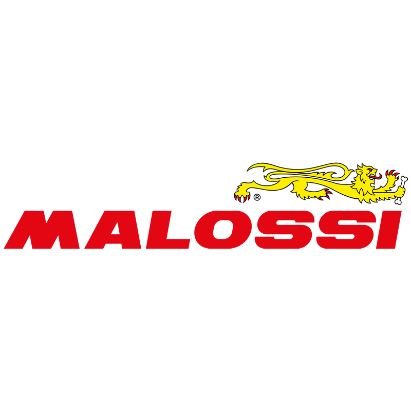 3712571 3 CURSORI PER MULTIVAR 2000 | MALOSSI