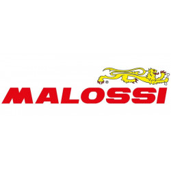 66 9917.M0 6 HTROLL DIAM 23X18 GR.18 | MALOSSI