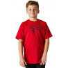 T-SHIRT FX YOUTH LEGACY SS TEE FLAME RED | FOX RACING