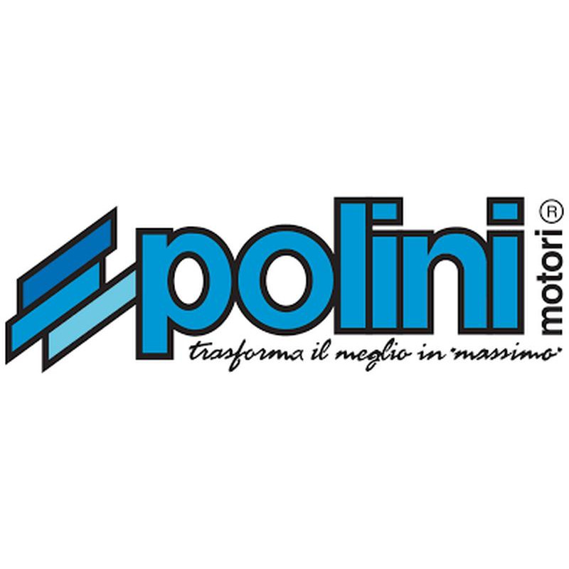 206.0020 SEGMENTO D.47X1,5 | POLINI