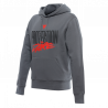 FELPA DARE HOODIE CASTLE-ROCK | DAINESE